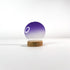 Verre de lunettes de soleil violet bidégradé  sur un support avec fond blanc