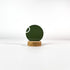 Verre de lunettes de soleil vert foncé uni sur un socle en bois et un fond blanc